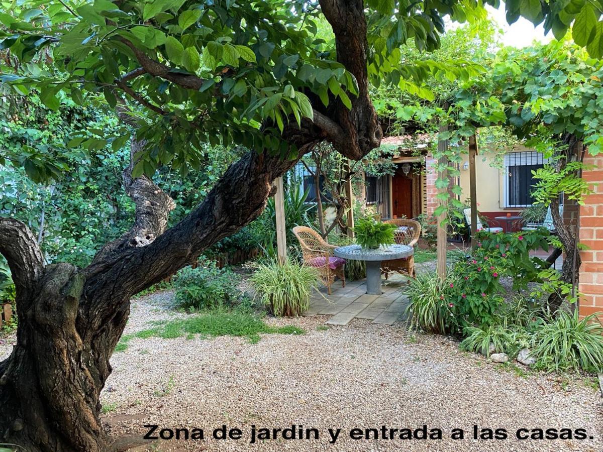La Casa Rural De Carlos Playa de Gandia المظهر الخارجي الصورة