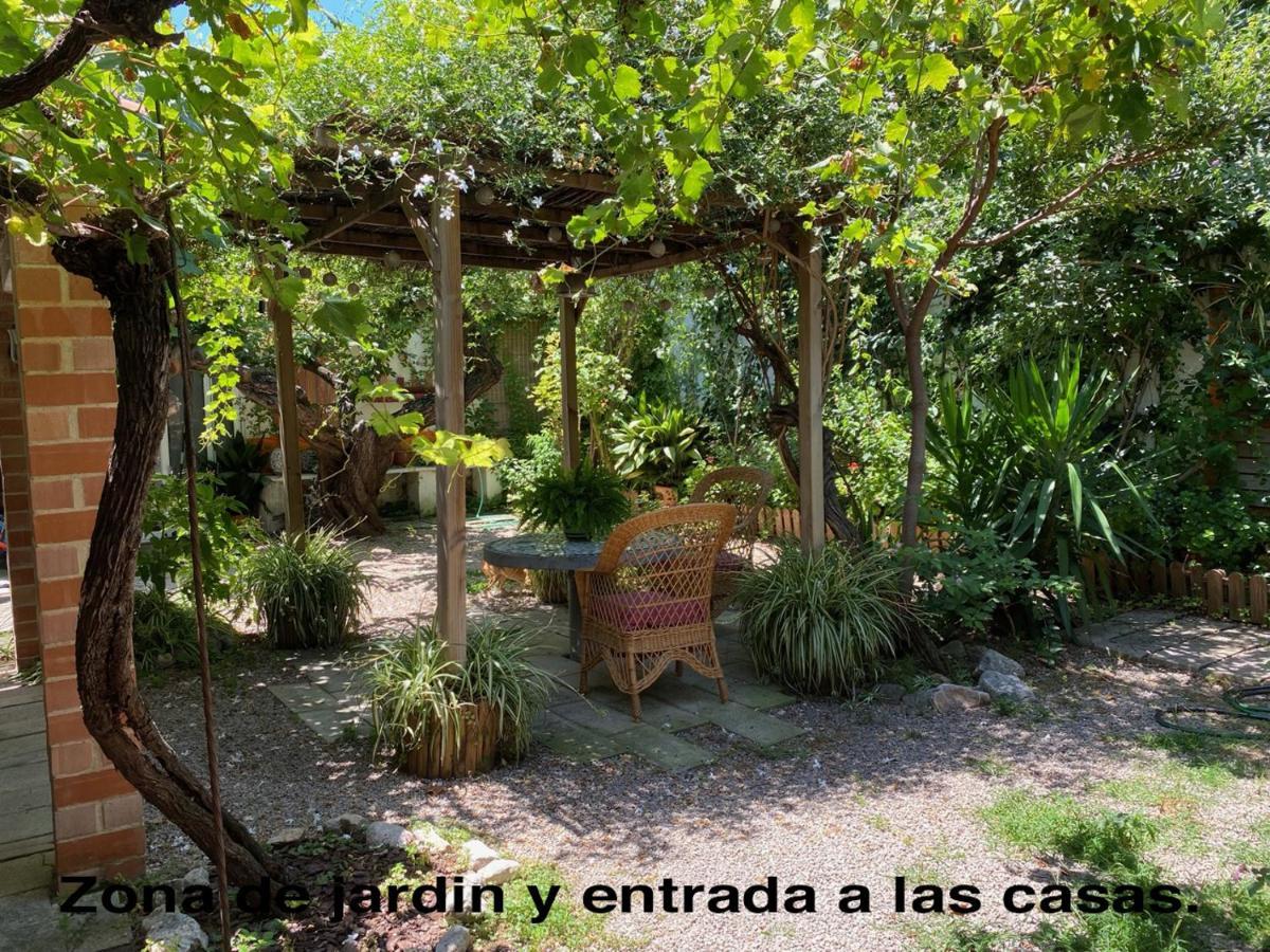 La Casa Rural De Carlos Playa de Gandia المظهر الخارجي الصورة